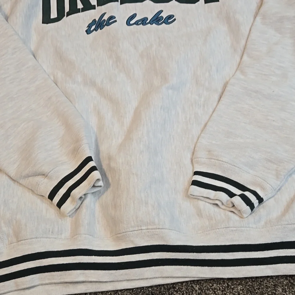 Vintage Champion Mens Okoboji The Lake Reverse Weave 90" Crewneck Pullover Sz L - Picture 4 of 7
